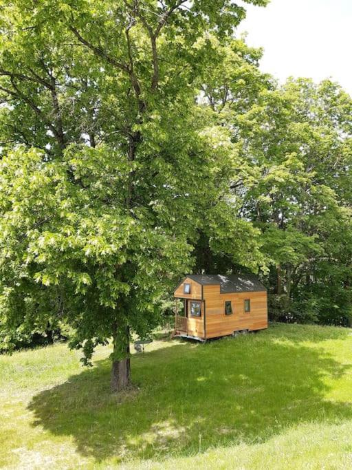 Micro Maison Bois / Tiny House Au Calme Crest Bagian luar foto