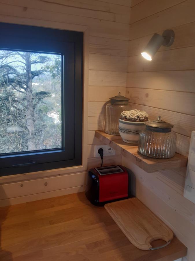 Micro Maison Bois / Tiny House Au Calme Crest Bagian luar foto